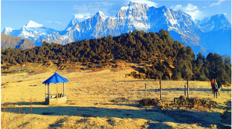वर्षा र सडक नखुल्दा अहिलेसम्म पर्यटक ढोरपाटन उपत्यका र बुकीपाटनबाटै फर्किन बाध्य